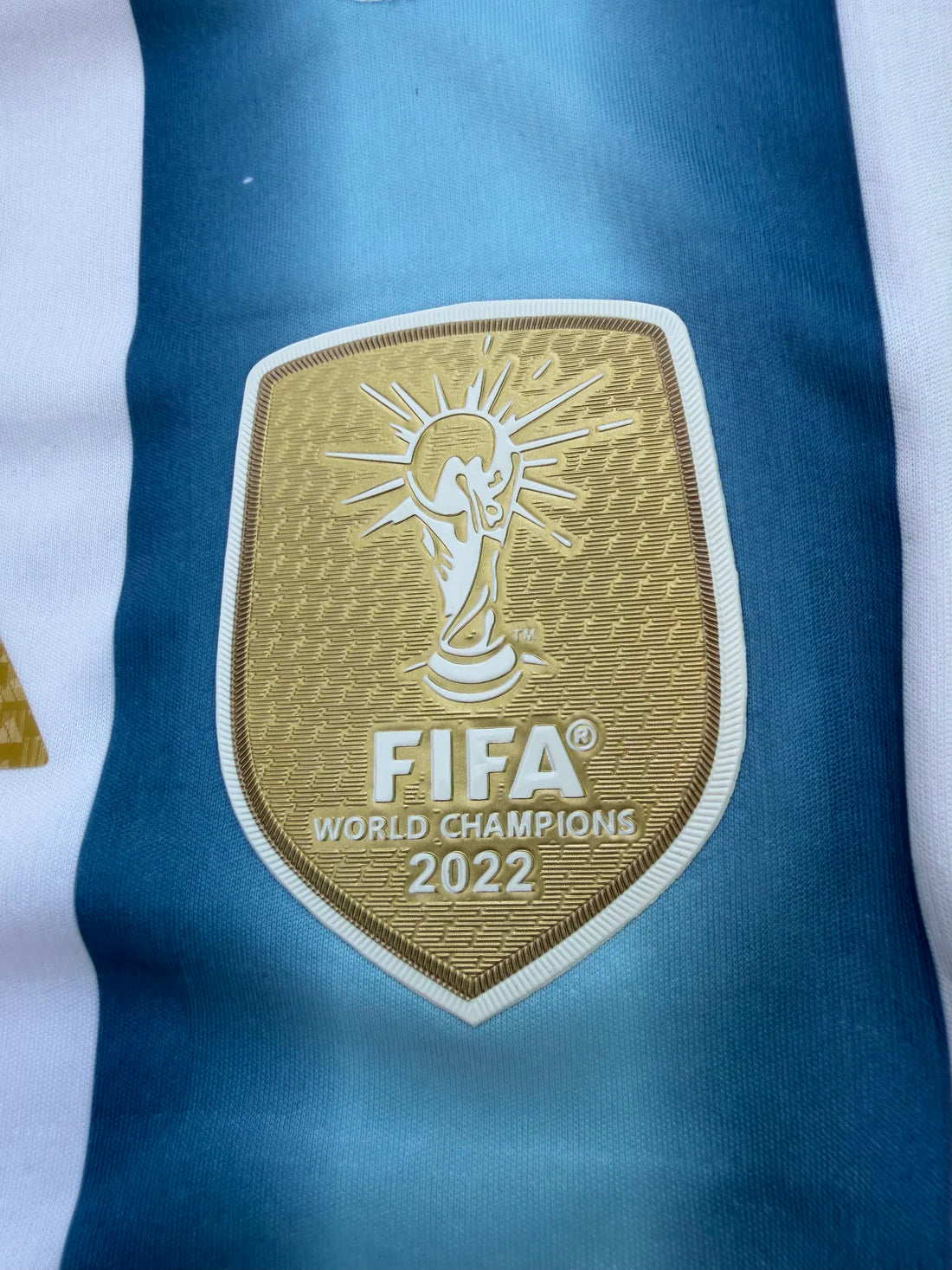 Argentina 26 WC Home Kit ( TPU )