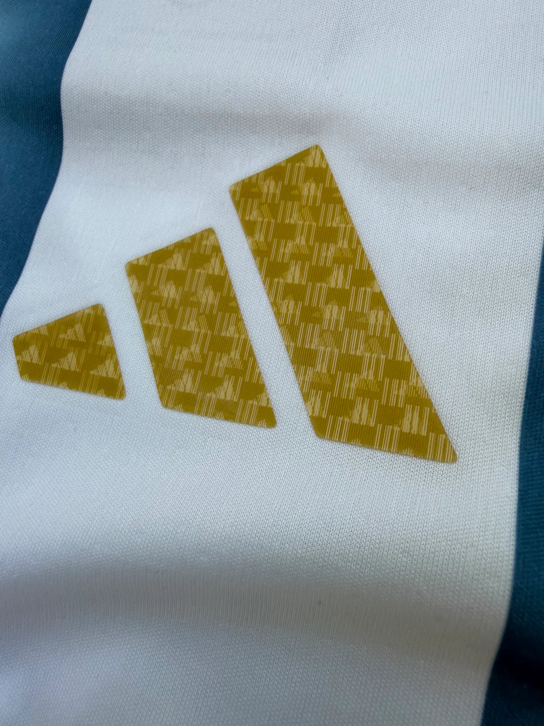Argentina 26 WC Home Kit ( TPU )
