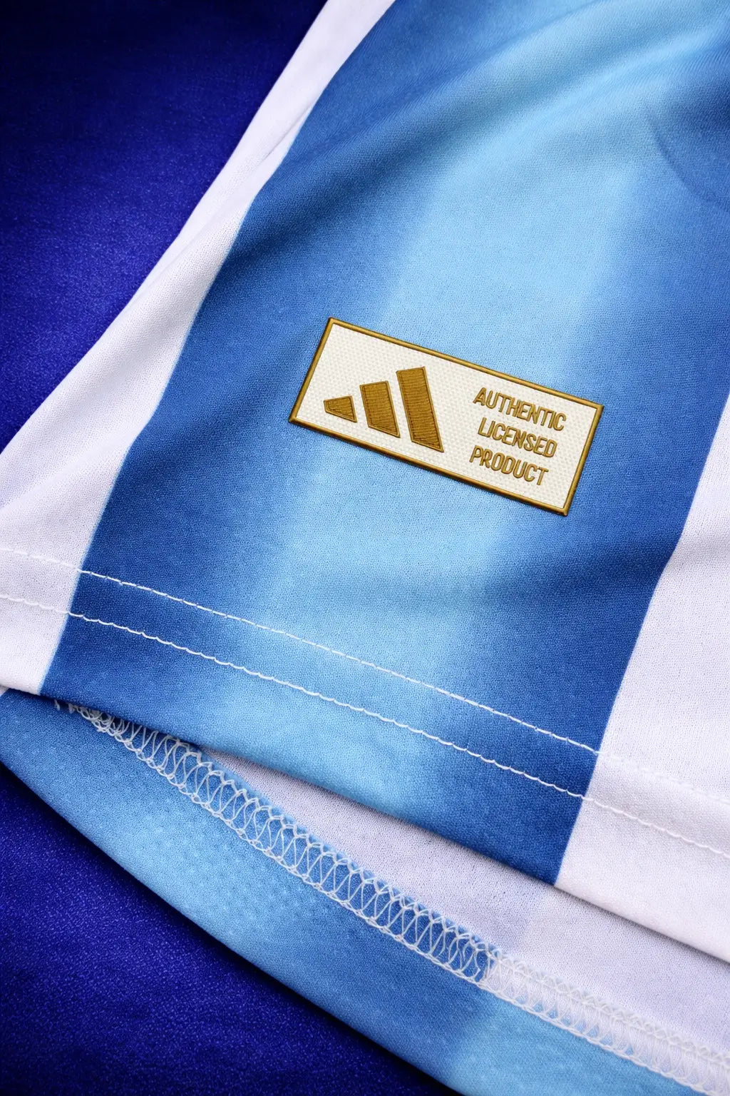 Argentina 26 WC Home Kit ( TPU )